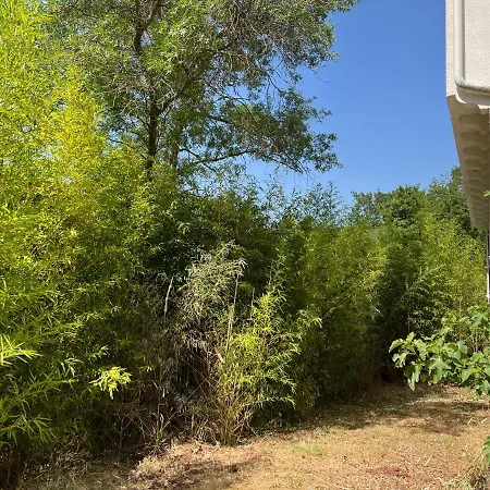 Le Moulin De Prades 4 Etoiles Entier Parc Naturel Languedoc - Salagou Feriehus Dio-et-Valquieres
