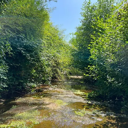 Le Moulin De Prades 4 Etoiles Entier Parc Naturel Languedoc - Salagou