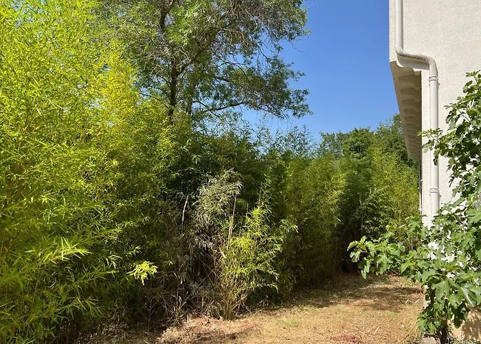 Le Moulin De Prades 4 étoiles Entier Parc Naturel Languedoc - Salagou Сasa de vacaciones Dio-et-Valquieres