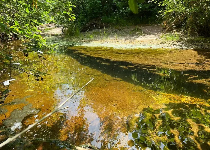 Le Moulin De Prades 4 étoiles Entier Parc Naturel Languedoc - Salagou