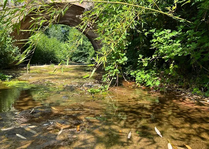 Le Moulin De Prades 4 étoiles Entier Parc Naturel Languedoc - Salagou *