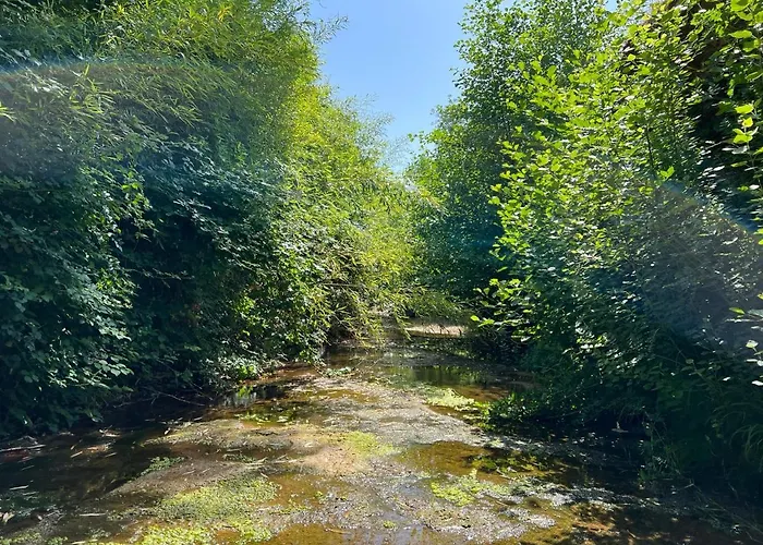 Le Moulin De Prades 4 étoiles Entier Parc Naturel Languedoc - Salagou